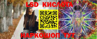 гашик Будённовск
