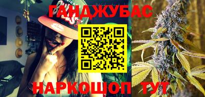 гашик Будённовск