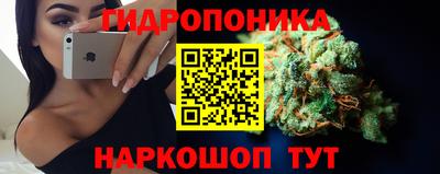 гашик Будённовск