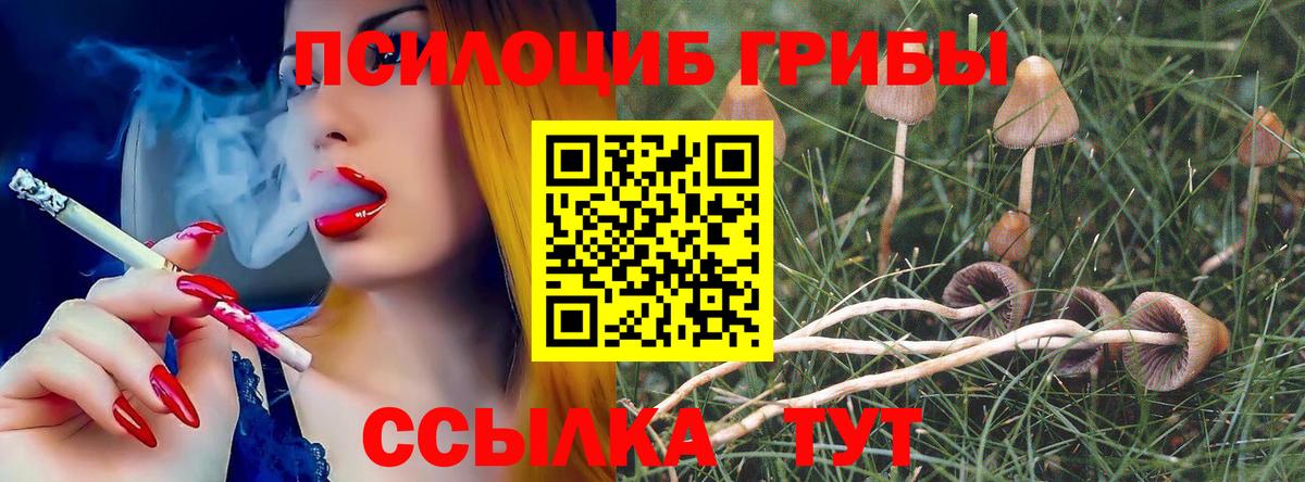 Псилоцибиновые грибы Psilocybine cubensis  Вход с VPN  Мелеуз 